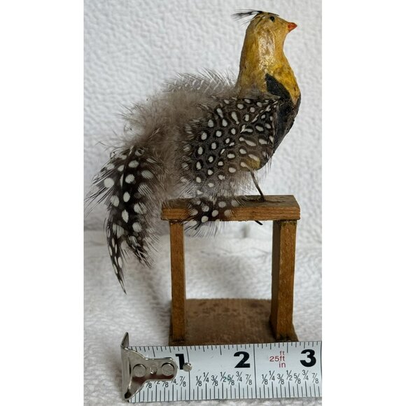 Antique German Made Paper Mache Bird Possibly Sandgrouse Real Feathers Wood Base - Picture 8 of 14